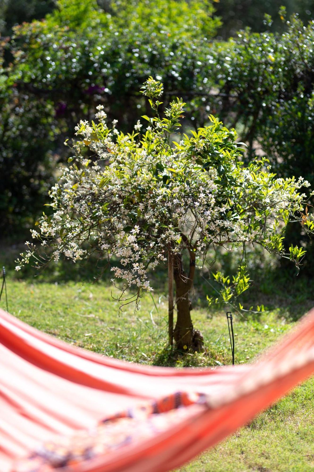 Resonance Experience - Tranquil Room Close To Beaches And Sacred Sites Sant Isidoro  Exterior photo
